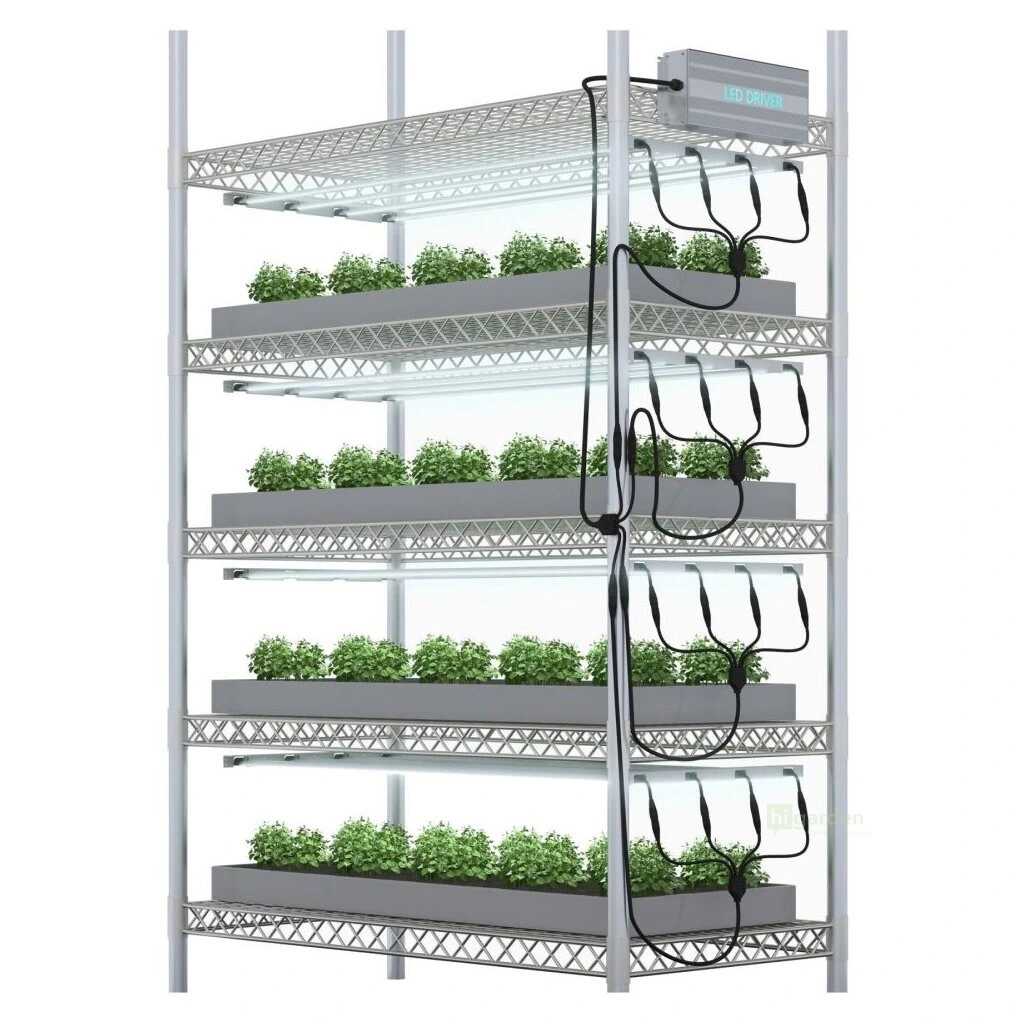 Patra Rack Microgreens erfolgreich anbauen: So wählst du die richtige LED-Lampe ...