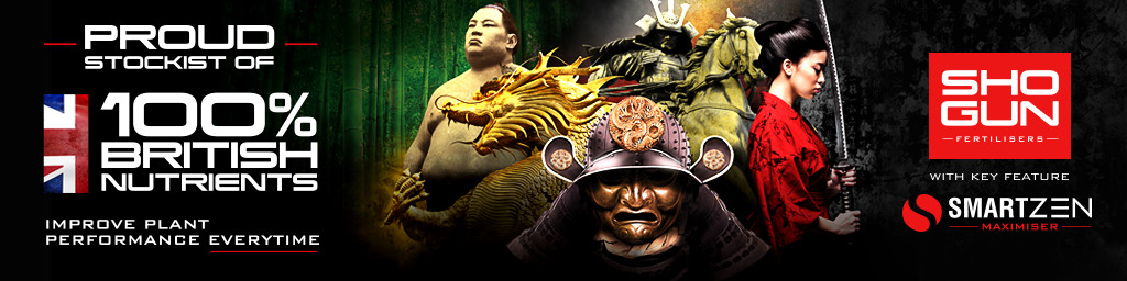 Shogun Dnger
