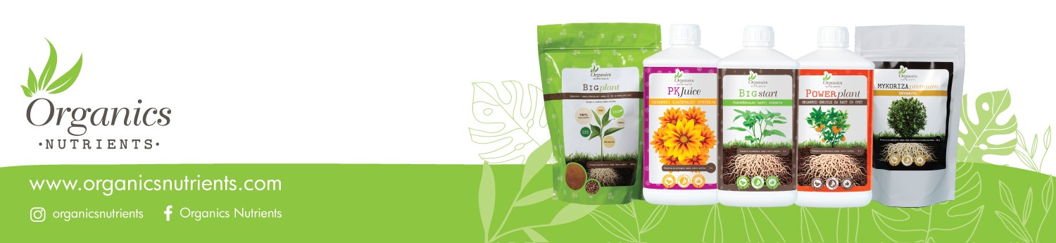 beste dünger für cannabis Bobs Hanfglück main image 0